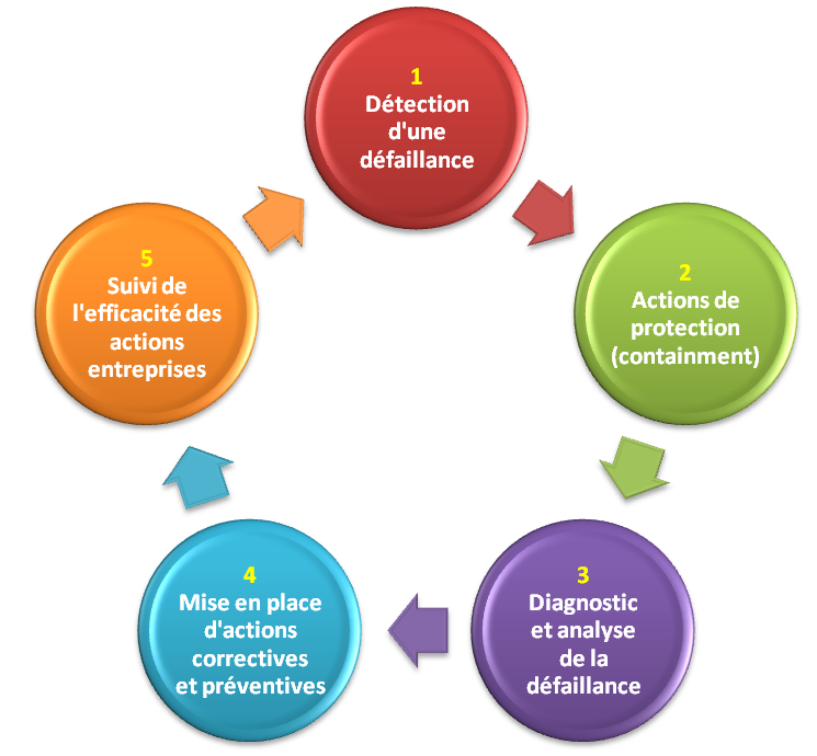 Schéma du processus de la clinique Qualité SERVAT